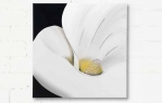 Декоративная панель Pintdecor CALLA P2870
