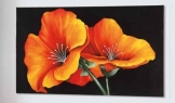 Декоративная панель Pintdecor IBISCUS ROSSO P3002