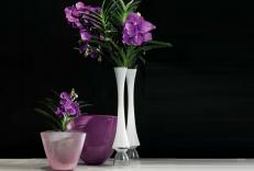 Ваза Abhika RIGO VASE STELO 200043.90