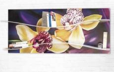 Книжная полка Pintdecor PETALI SULL’ONDA P3226