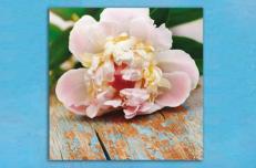 Картина Pintdecor Fiore su tavole g1070