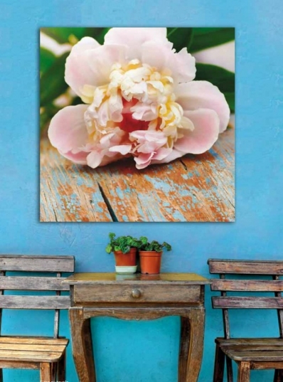Картина Pintdecor Fiore su tavole g1070