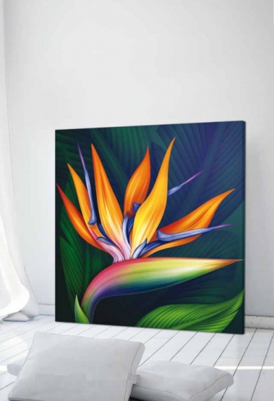 Картина Pintdecor Strelitzia g1112